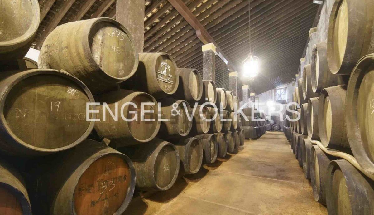 blanca reyes bodega
