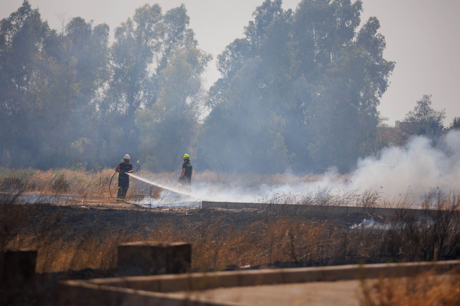 Bomberos del Consorcio Provincial en un reciente incendio en Jerez.