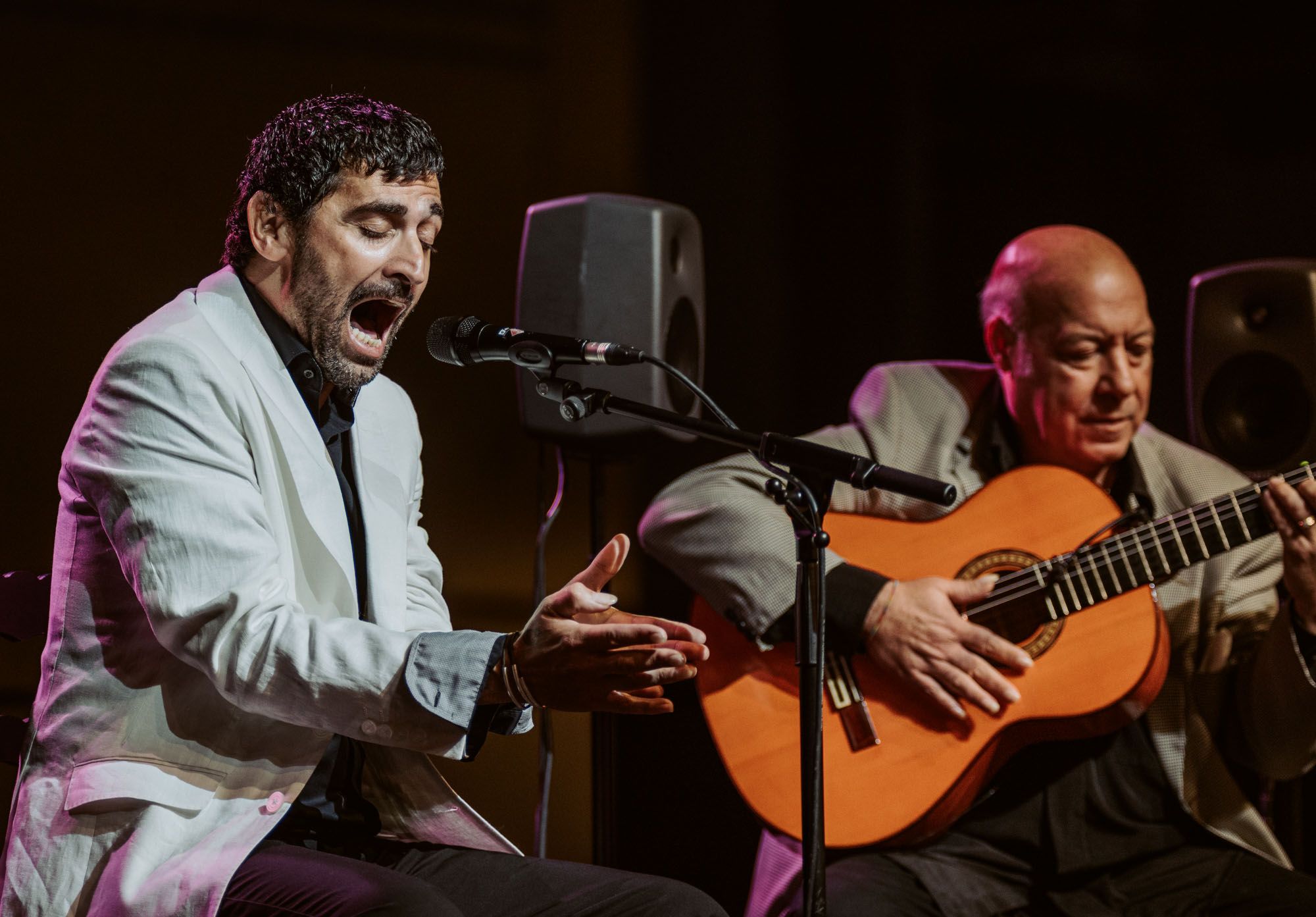Agujetas Chico, junto a Domingo Rubichi, será uno de los grandes protagonistas del VII Día del Flamenco de la Provincia de Cádiz este fin de semana en Jerez.