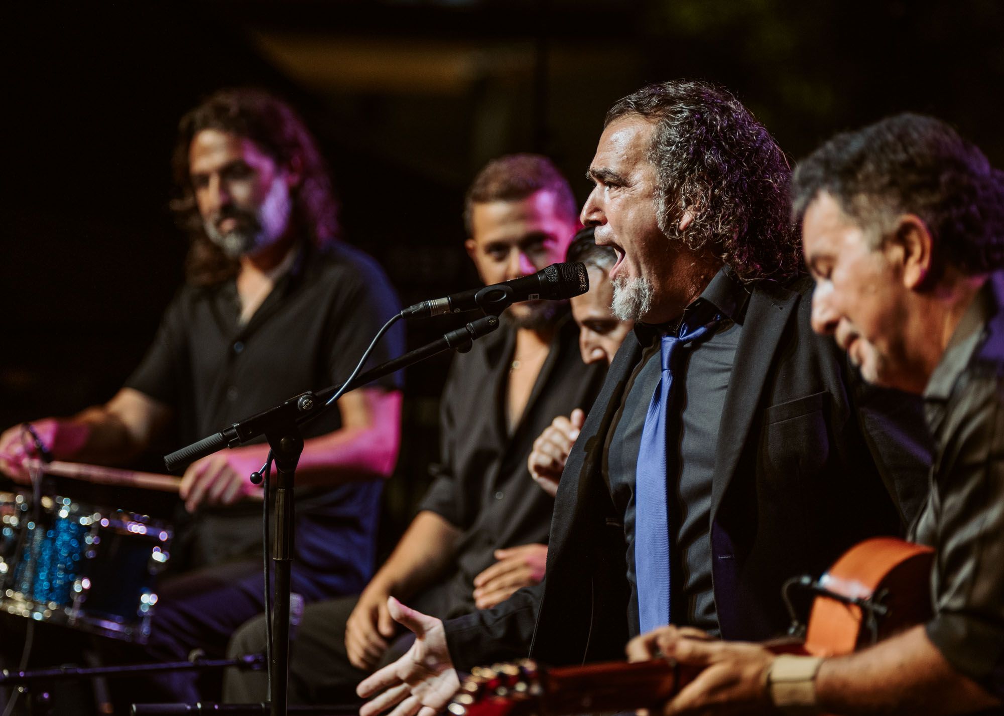 David Lagos, Alfredo Lagos, Juan Diego Valencia y Perico Navarro, durante un pasaje la segunda jornada de la 58 Fiesta de la Bulería de Jerez.