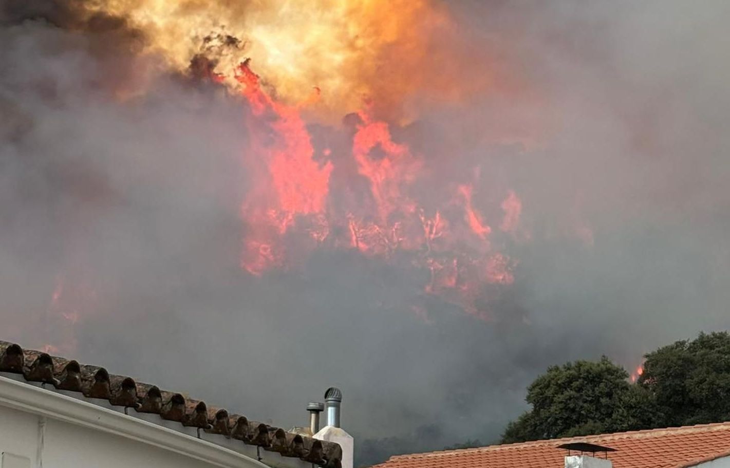 Incendio forestal este verano en Jabugo, en la provincia de Huelva.