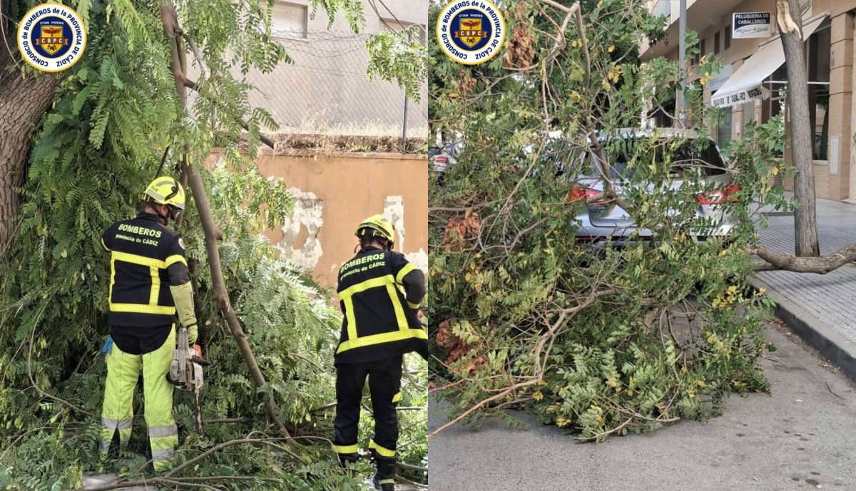 Intervenciones de bomberos este sábado. (1)