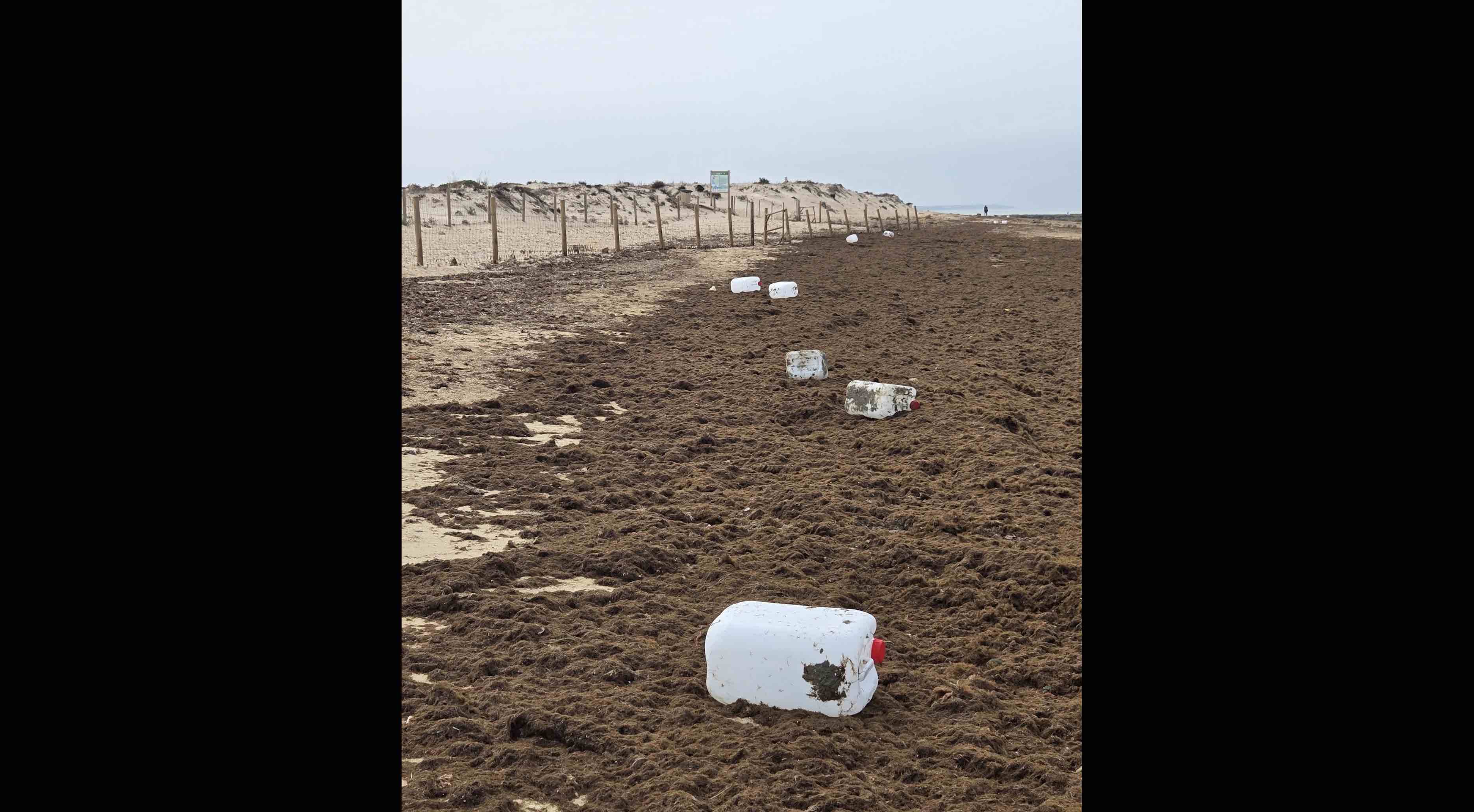 La playa de Sancti Petri en Chiclana, esta mañana.