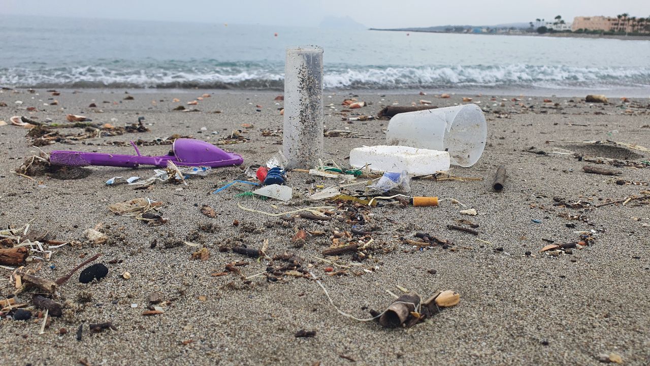 Plásticos arrastrados hasta la playa en el Estrecho de Gibraltar.