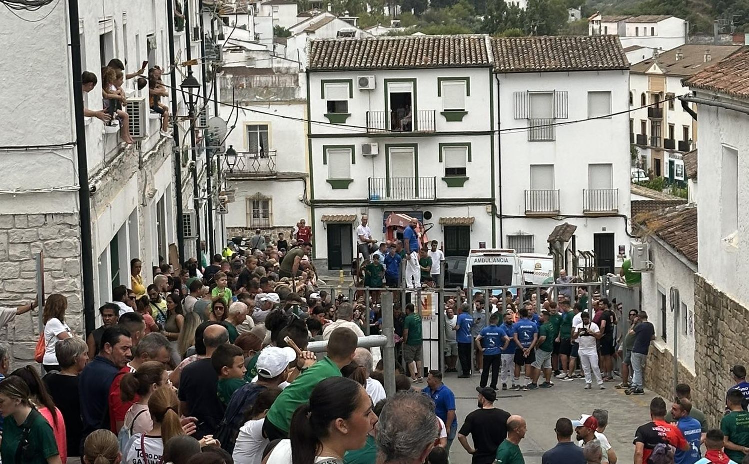 Toro del Gayumbo, este pasado domingo por la mañana, en una imagen de Radio Ubrique.