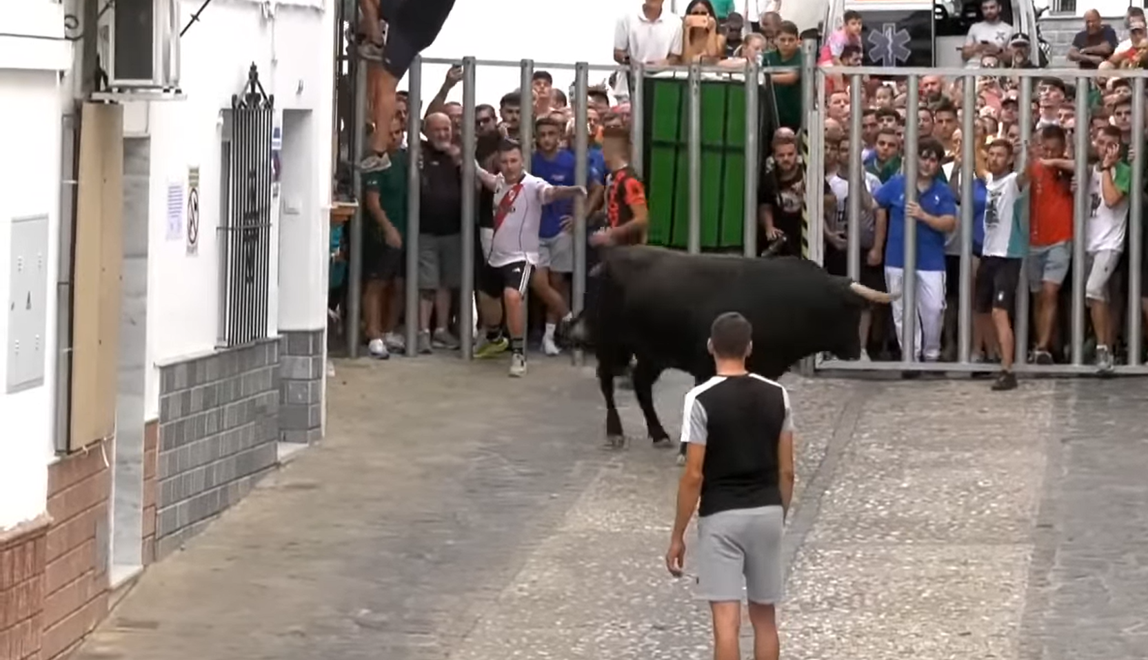 Toro del Gayumbo en Ubrique.