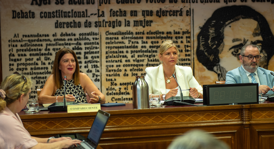 Leire Díez, en su comparecencia en el Senado. Leire Díez, en su comparecencia en el Senado.