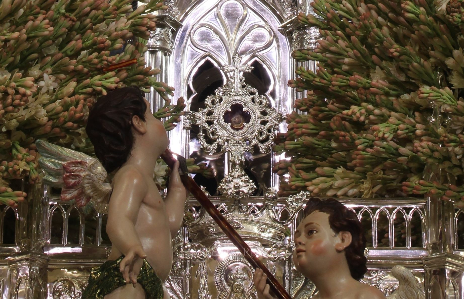 La Virgen de Regla procesiona con parte del pericardio del corazón de Carlos Acutis, el santo milenial.