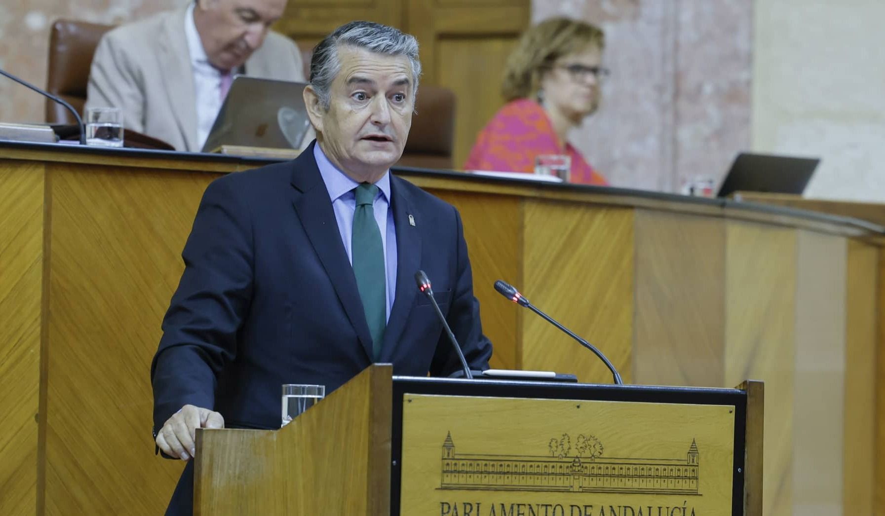El consejero de Interior de la Junta, Antonio Sanz, en el Parlamento este miércoles.