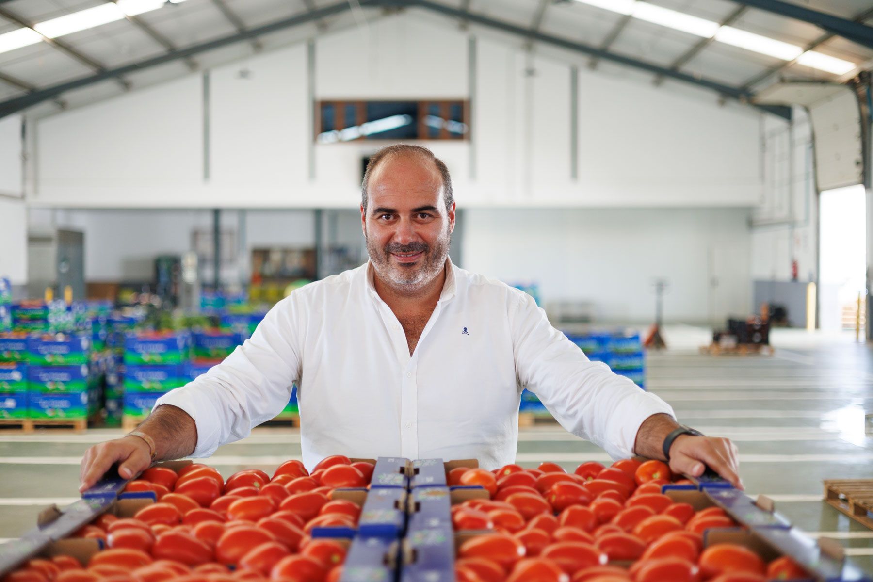 Antonio Aragón, con tomates de Conil en la cooperativa de Nuestra Señora de Las Virtudes, posa tras la entrevista con lavozdelsur.es, en días pasados.