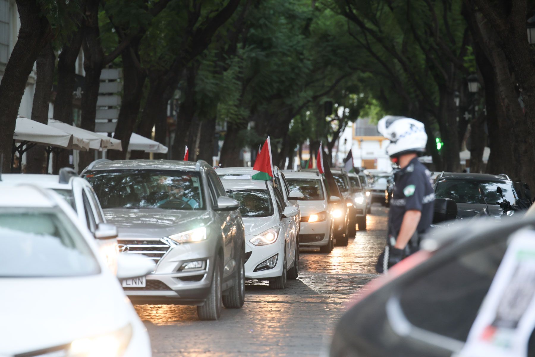 Caravana de coches por Palestina en Jerez.