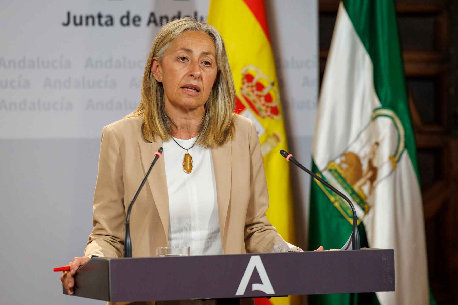 La ya exconsejera de Salud, Rocío Hernández.   EFE/JULIO MUÑOZ
