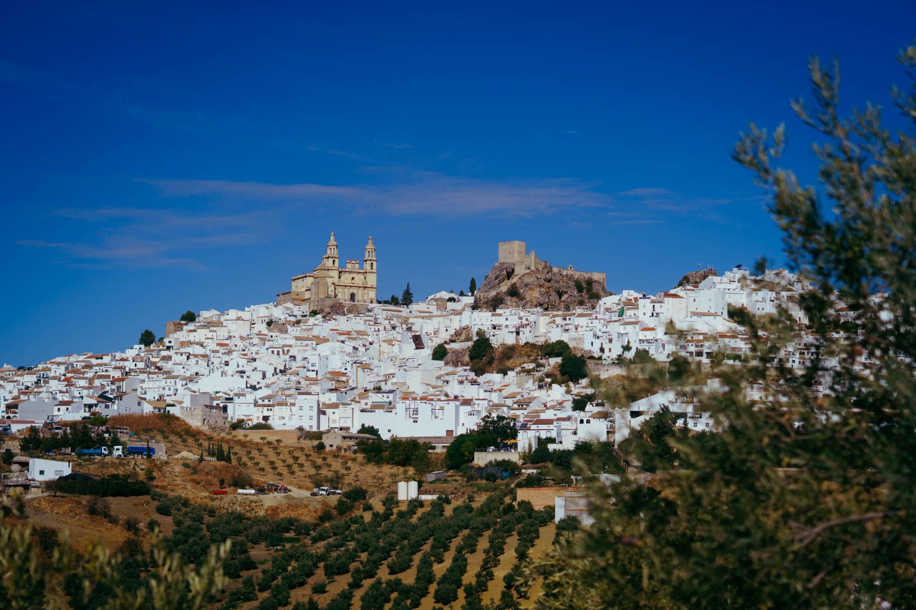 Imagen de Olvera.