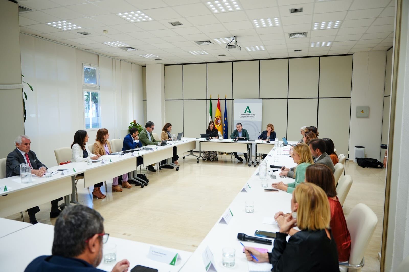 La reunión de la Comisión de seguimiento, celebrada este viernes.