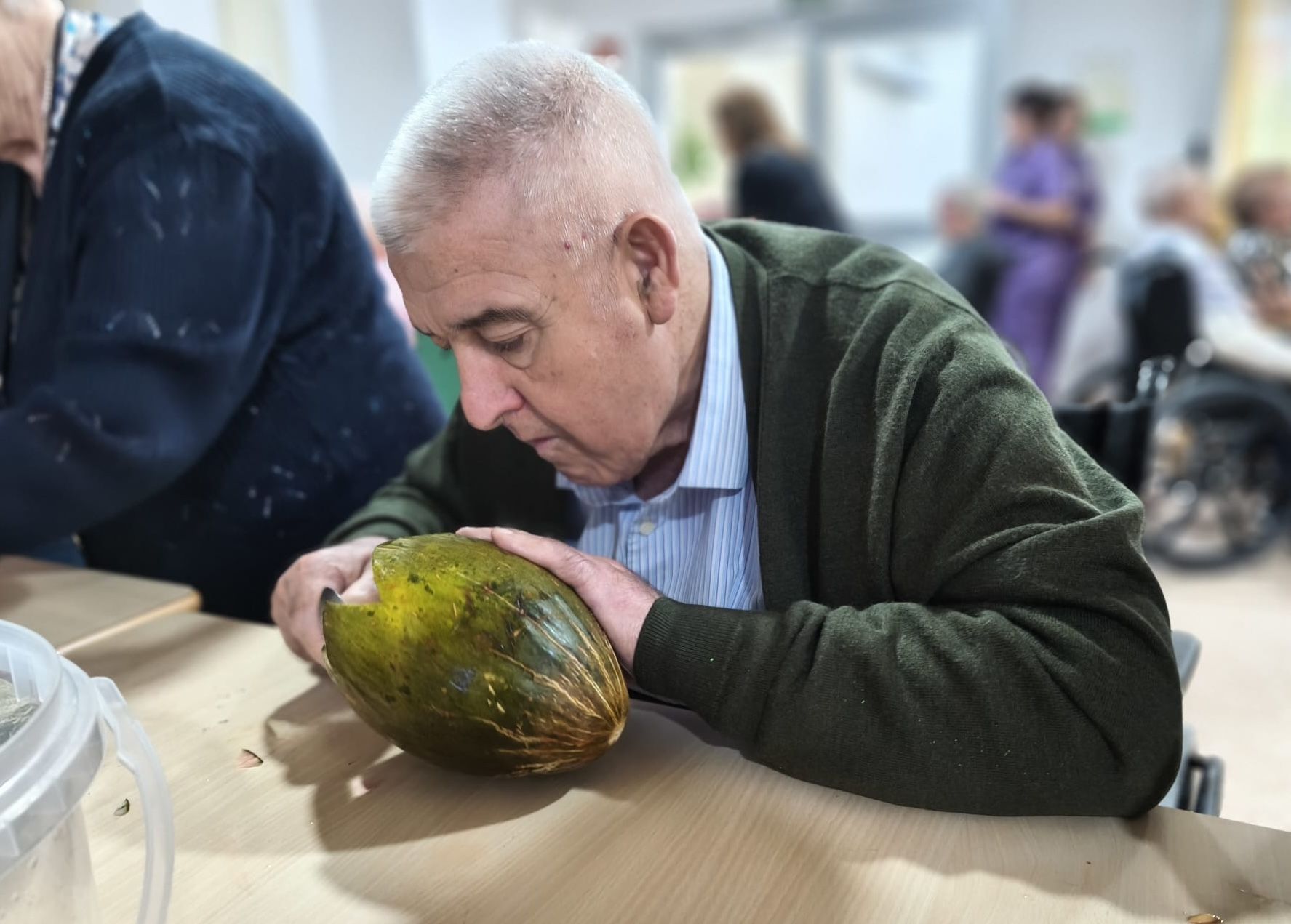 Farolillos Melón Cañada Rosal 1