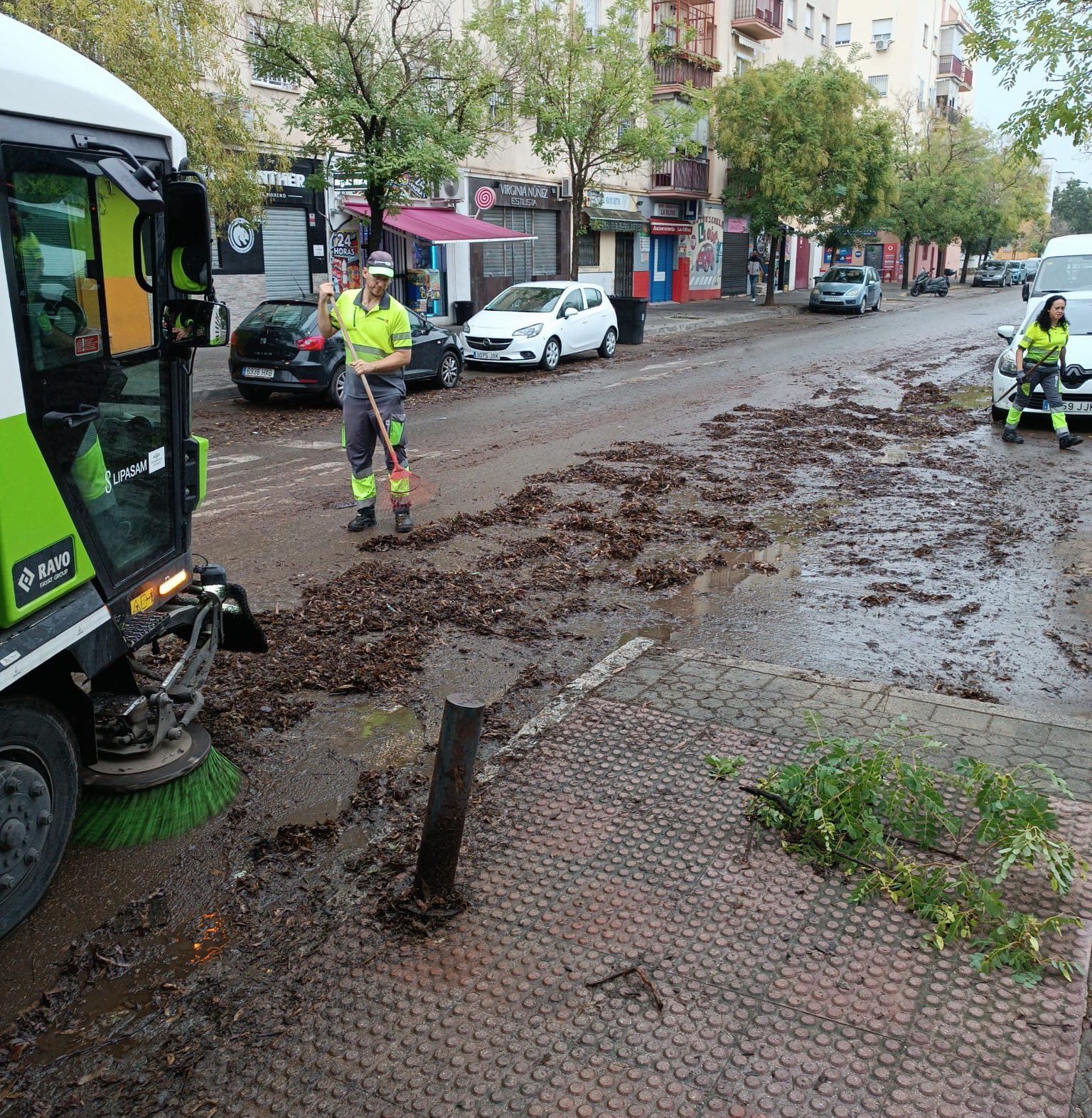 Trabajos de Lipasam tras el temporal.