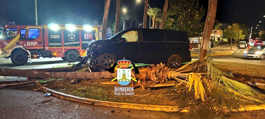 El choque provocó la caída de la palmera.