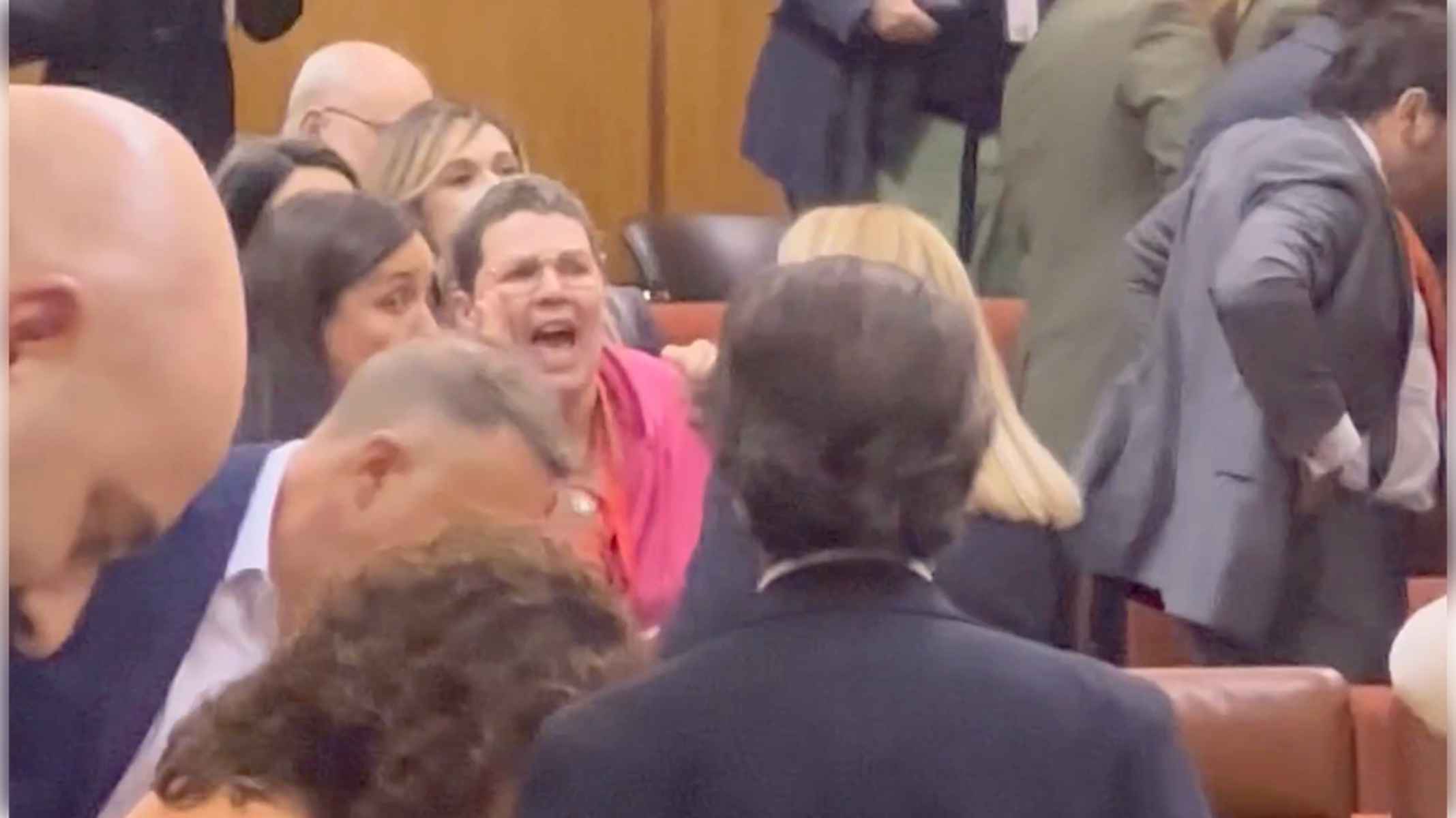 Anabel, gritando de manera desgarradora en el Parlamento andaluz. Anabel, gritando de manera desgarradora en el Parlamento andaluz.