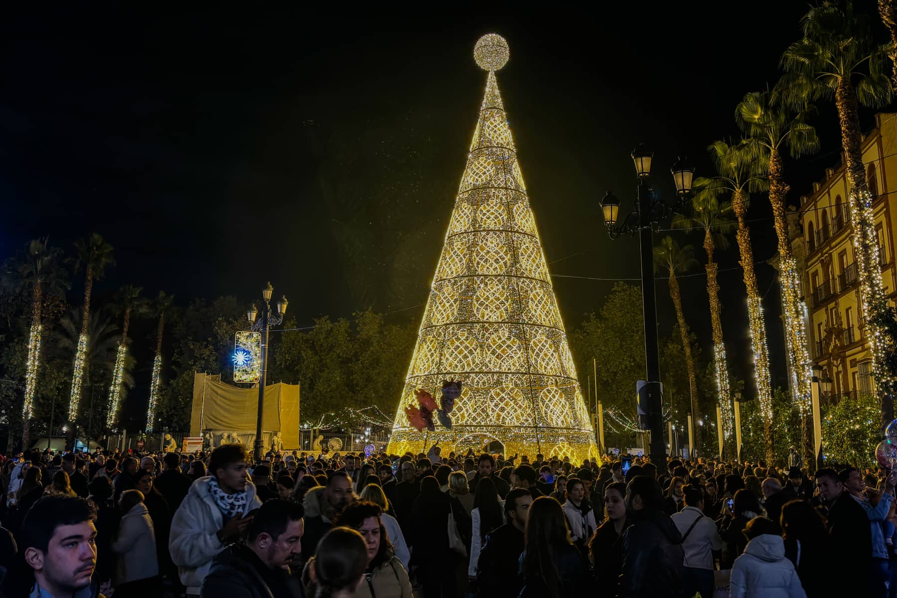 El árbol de Puerta Jerez, en el centro de Sevilla.