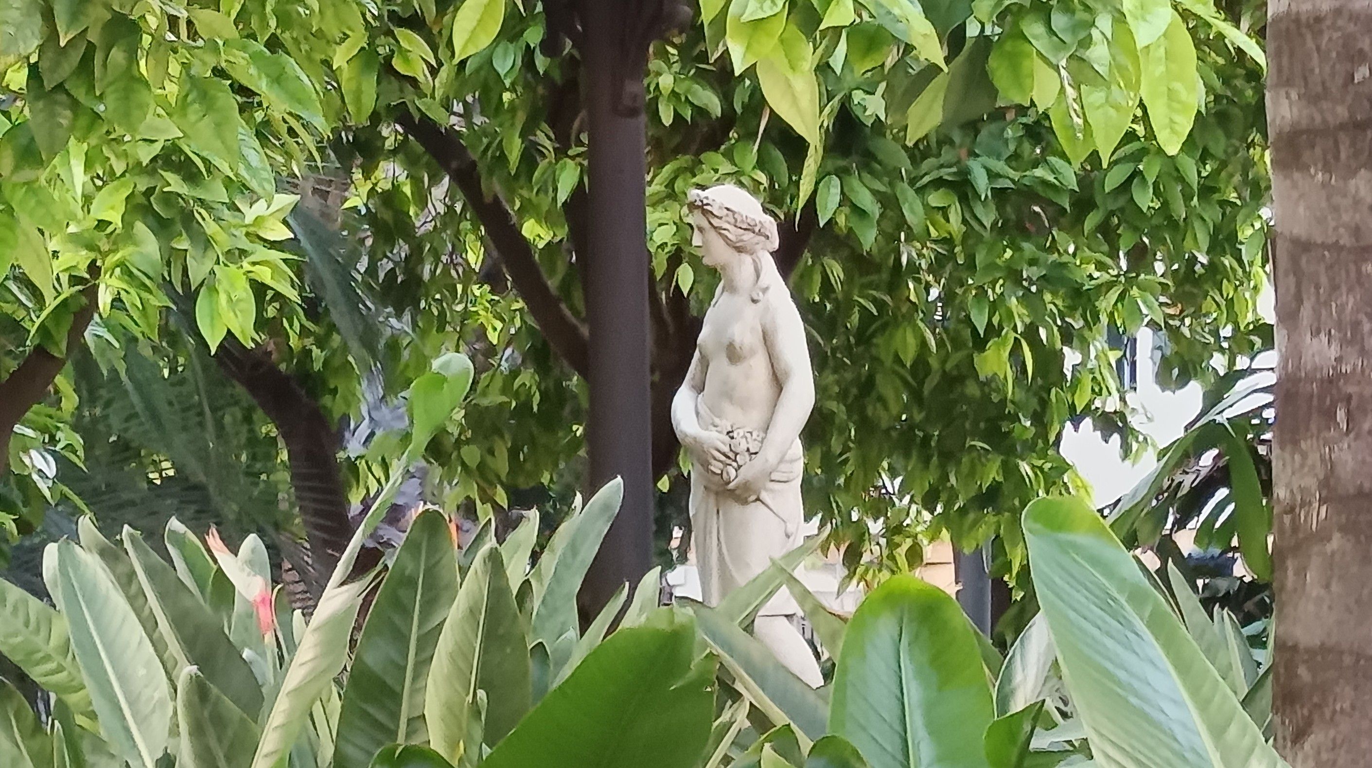  Alegoría de la Primavera, en plaza Candelaria.  