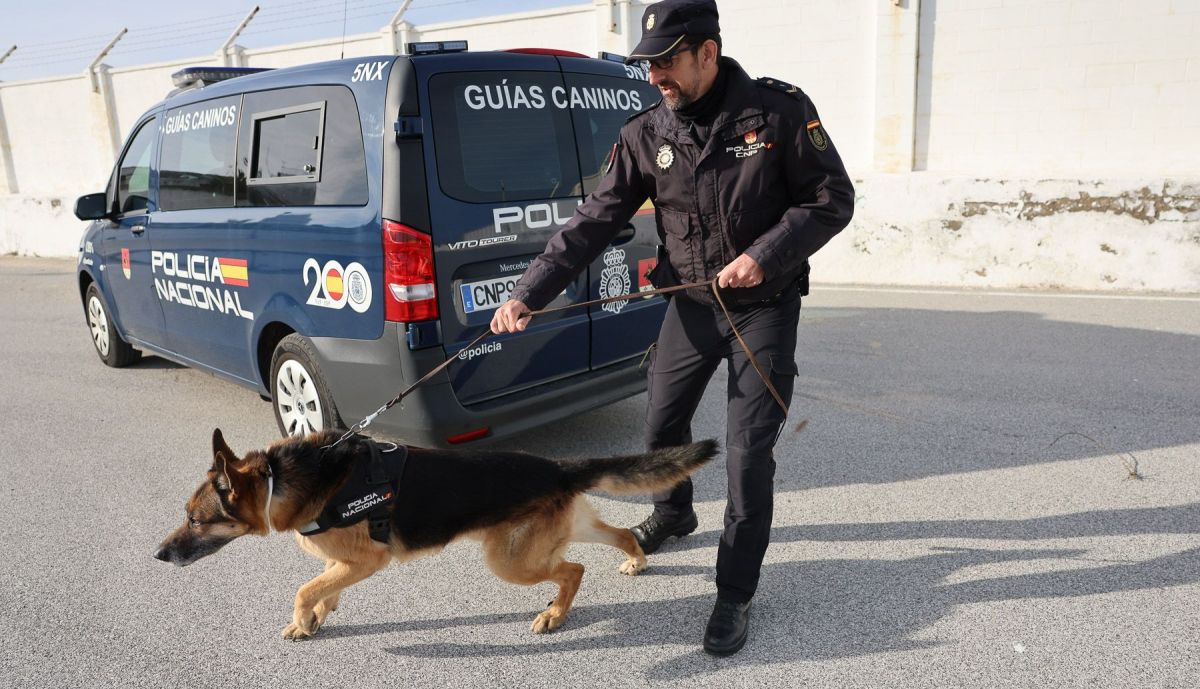 Perros policia y asociacion heroes de cuatro patas  07