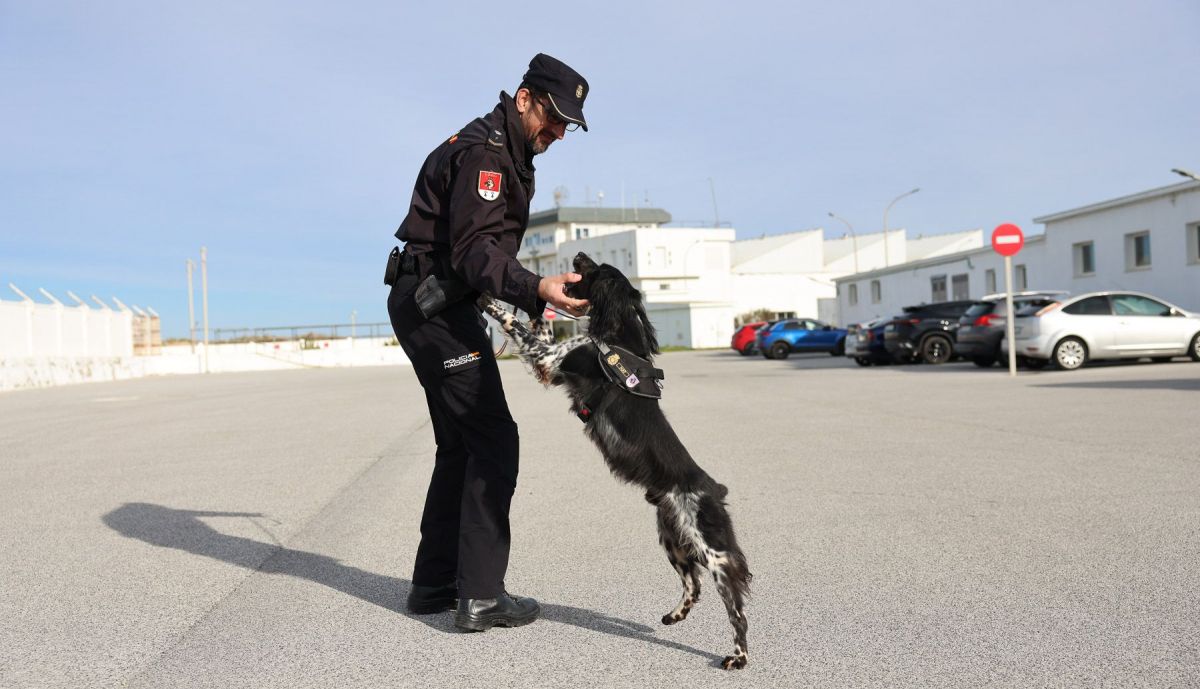 Perros policia y asociacion heroes de cuatro patas  04