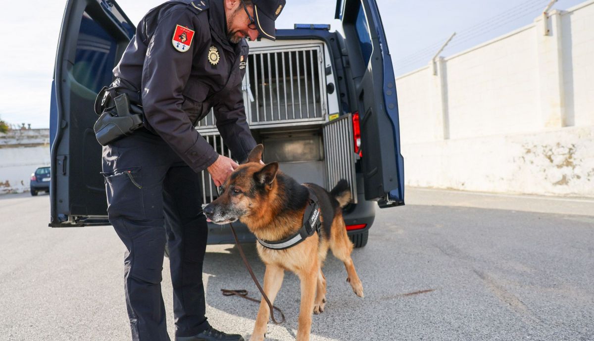Perros policia y asociacion heroes de cuatro patas  06