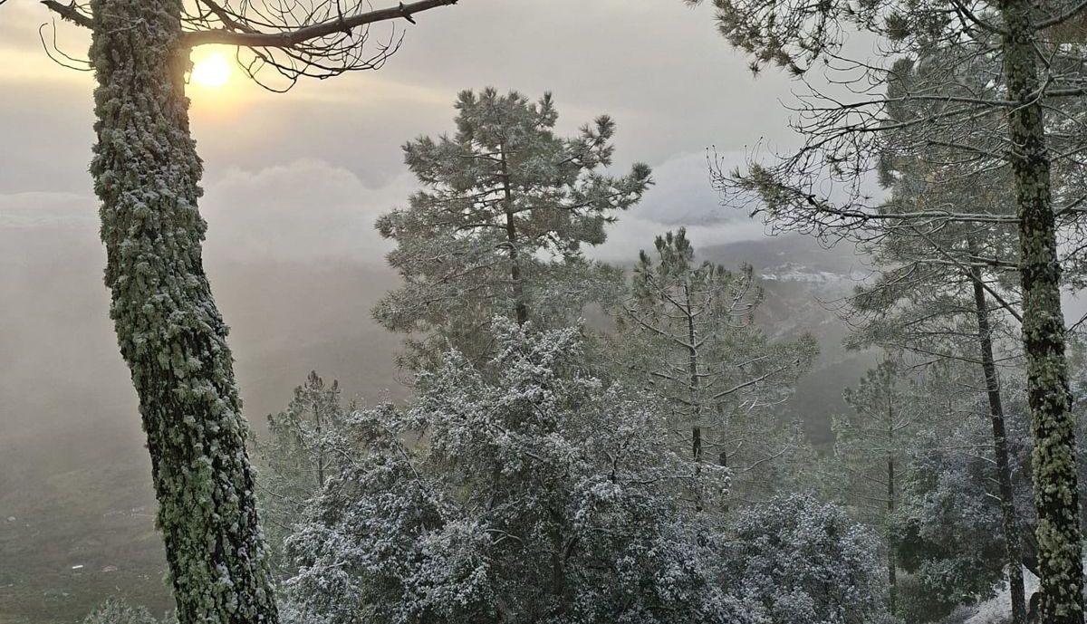 nieve Grazalema  04