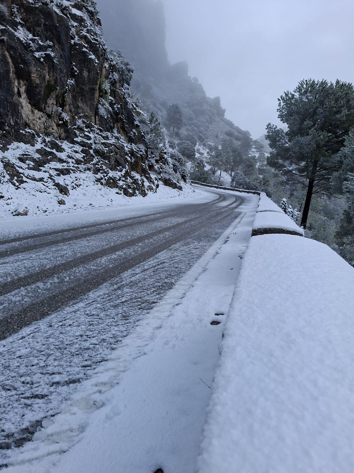 nieve Grazalema  05