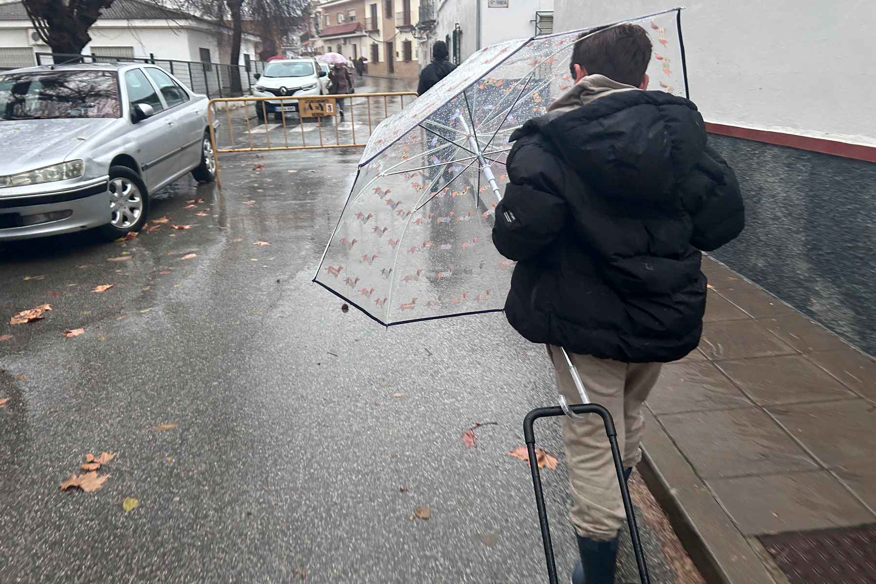 Un niño se protege de la lluvia camino del colegio en la provincia de Sevilla.   FOTO: EFE/Fermín Cabanillas