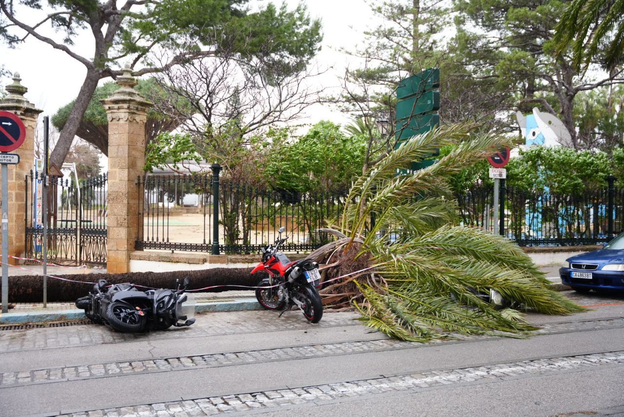 Estado de la zona del Parque Genovés.
