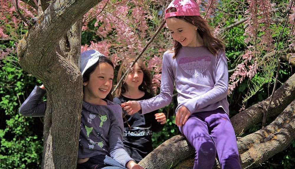 Varias niñas en la granja escuela.