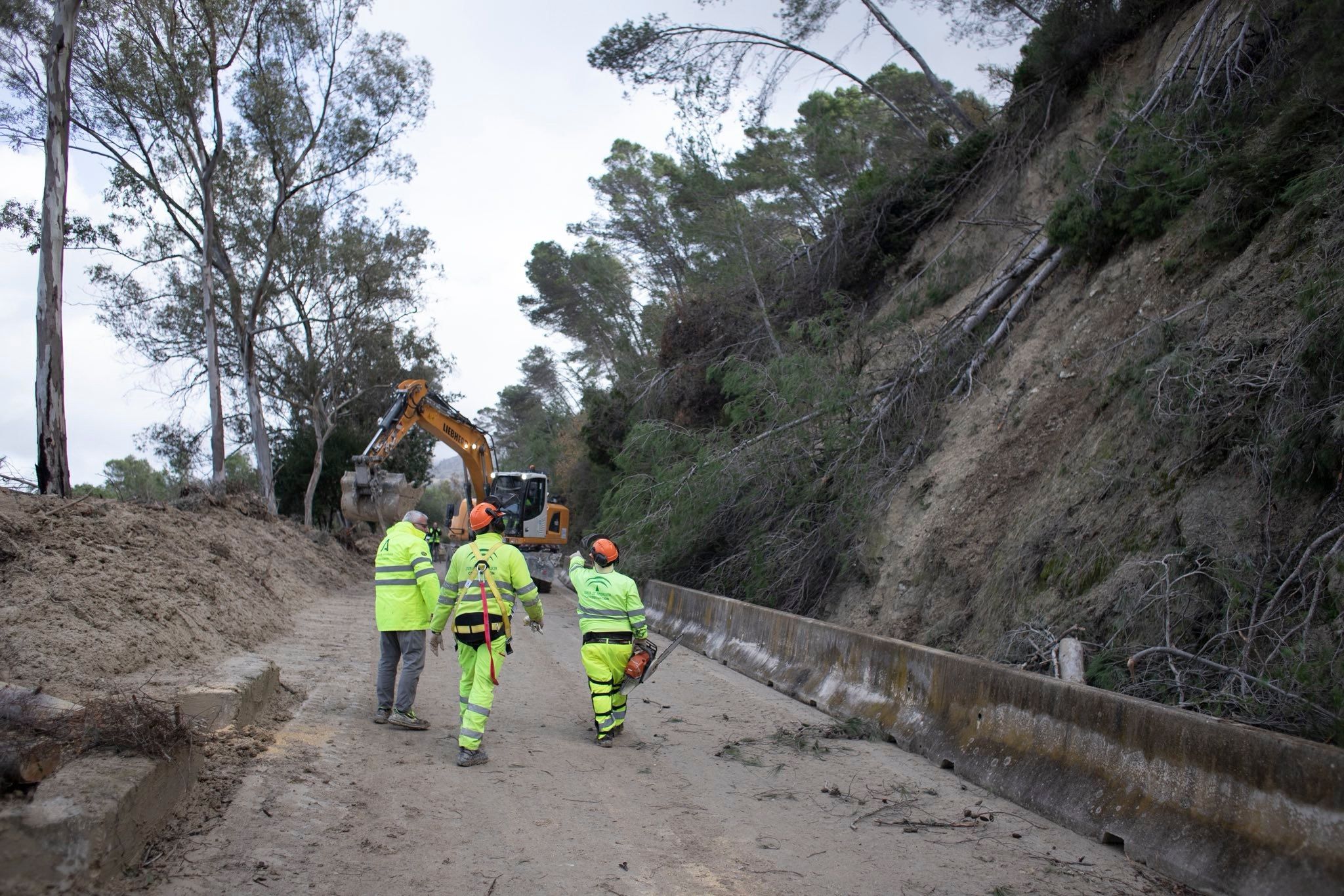 Trabajos en la carretera de Grazalema.
