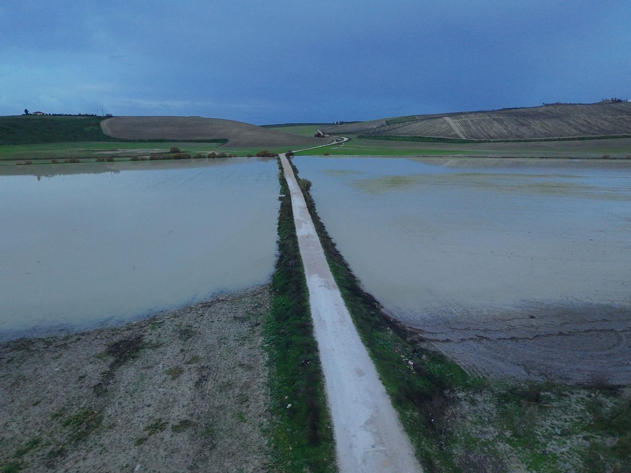 El agua, alrededor de un camino a los viñedos en Jerez.