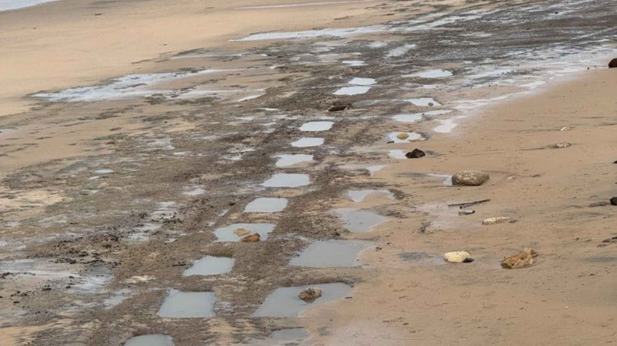 Las estructuras rectangulares aparecidas en la playa de Punta Candor.