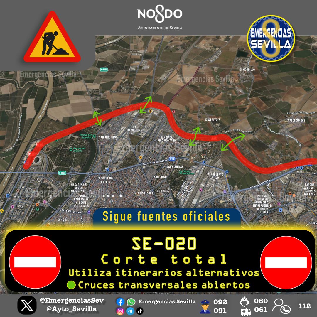 sevilla cortes