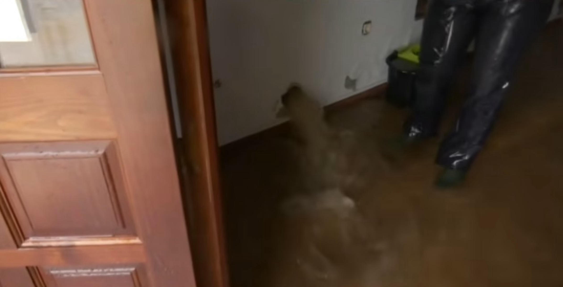 Rotura en una vivienda realizada para que fluya el agua.