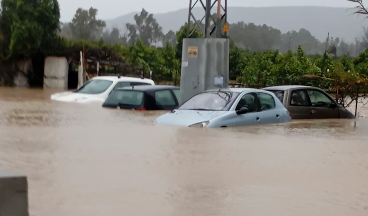 Coches bajo las aguas este jueves en San Martín del Tesorillo