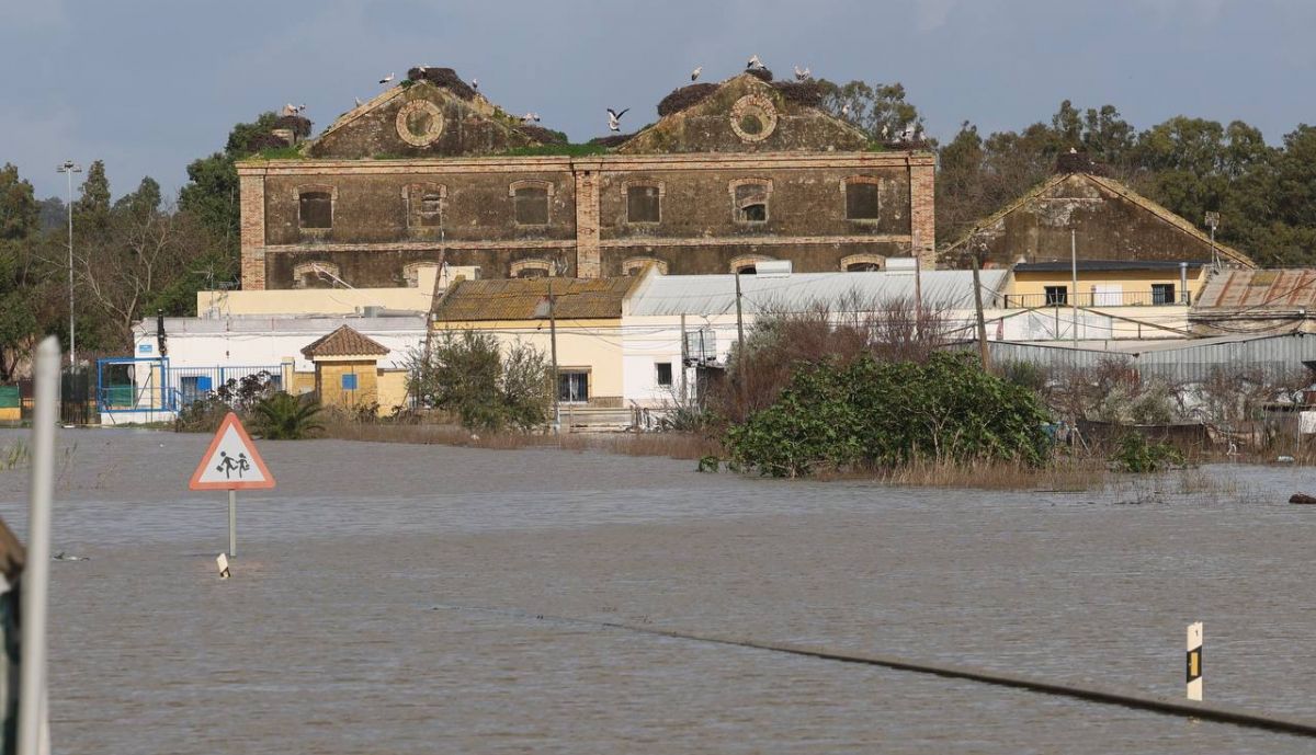 rescate andres vecino azucarera el portal guadalete jerez