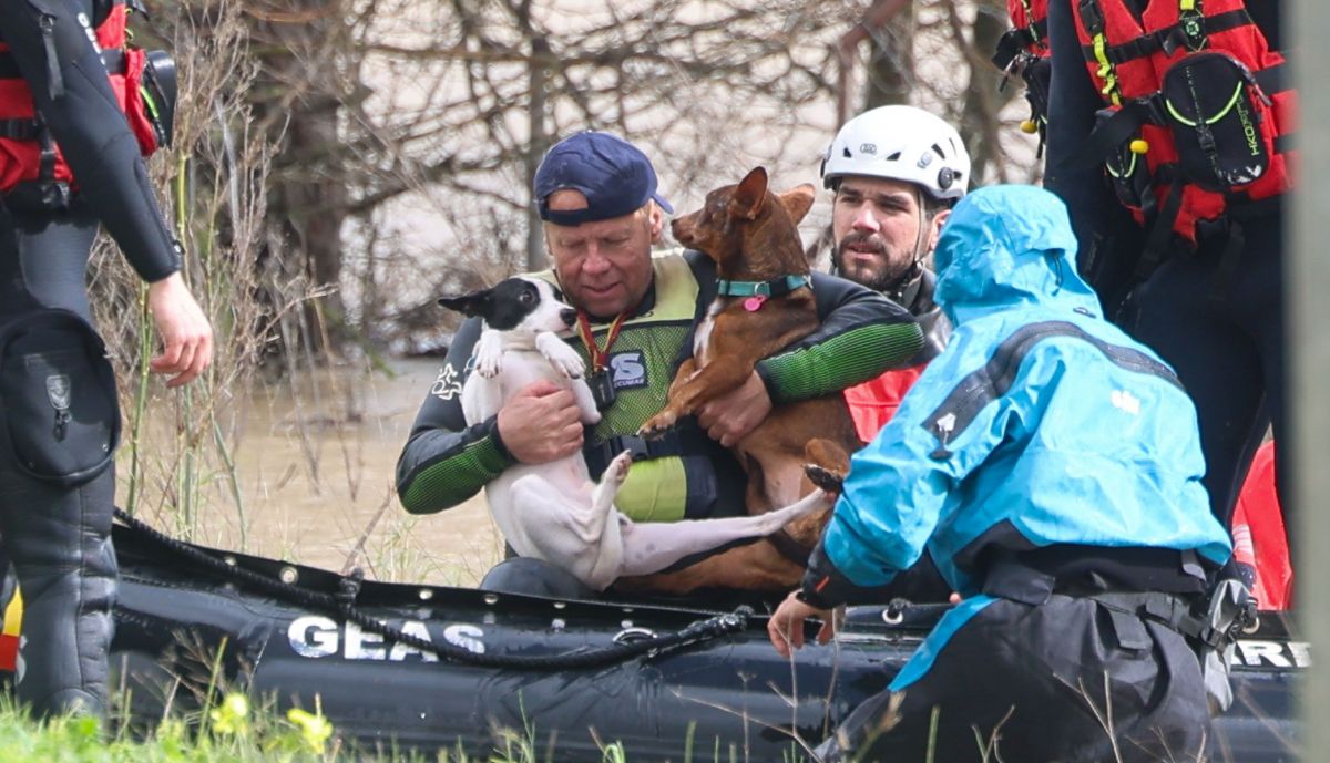 El sueco Lars Walker, con sus mascotas, tras ser rescatado después de cruzar el Guadalete a nado.