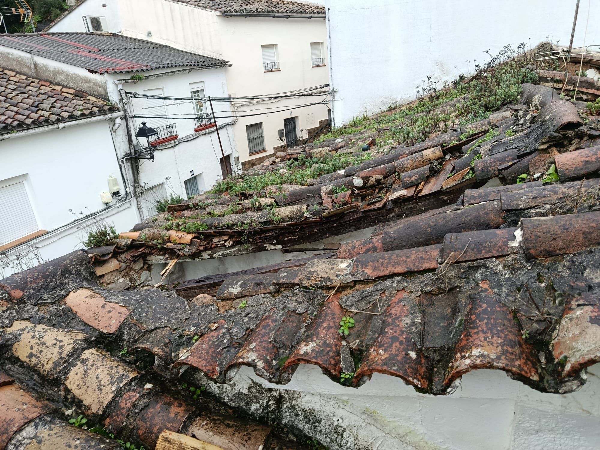El estado del tejado.