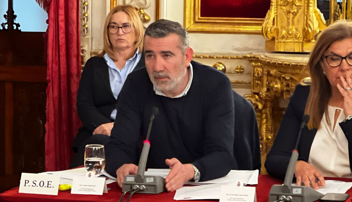 pizarro en el pleno
