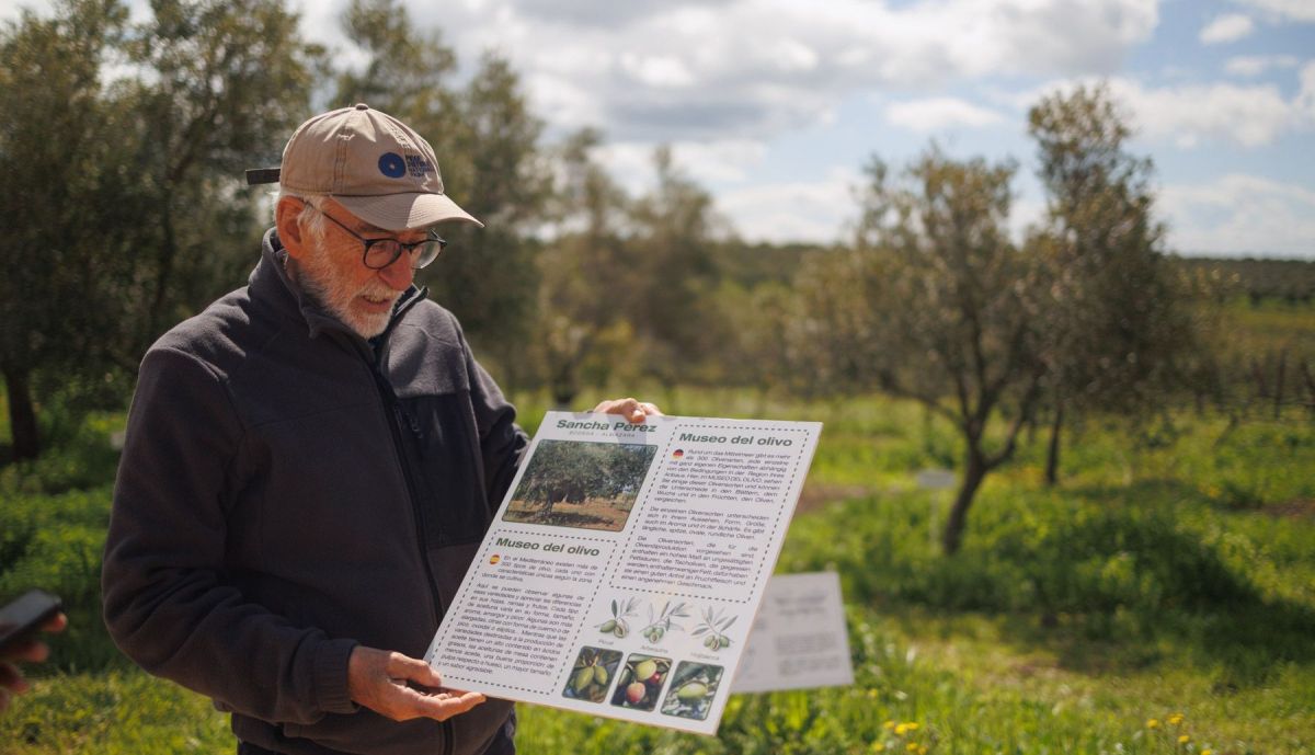BODEGA SANCHA PEREZ VIÑA ECOLOGICA 14