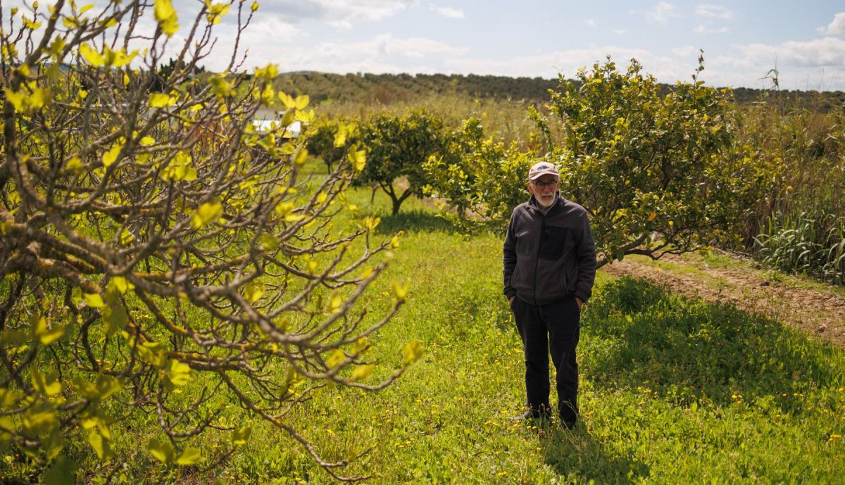 BODEGA SANCHA PEREZ VIÑA ECOLOGICA 18