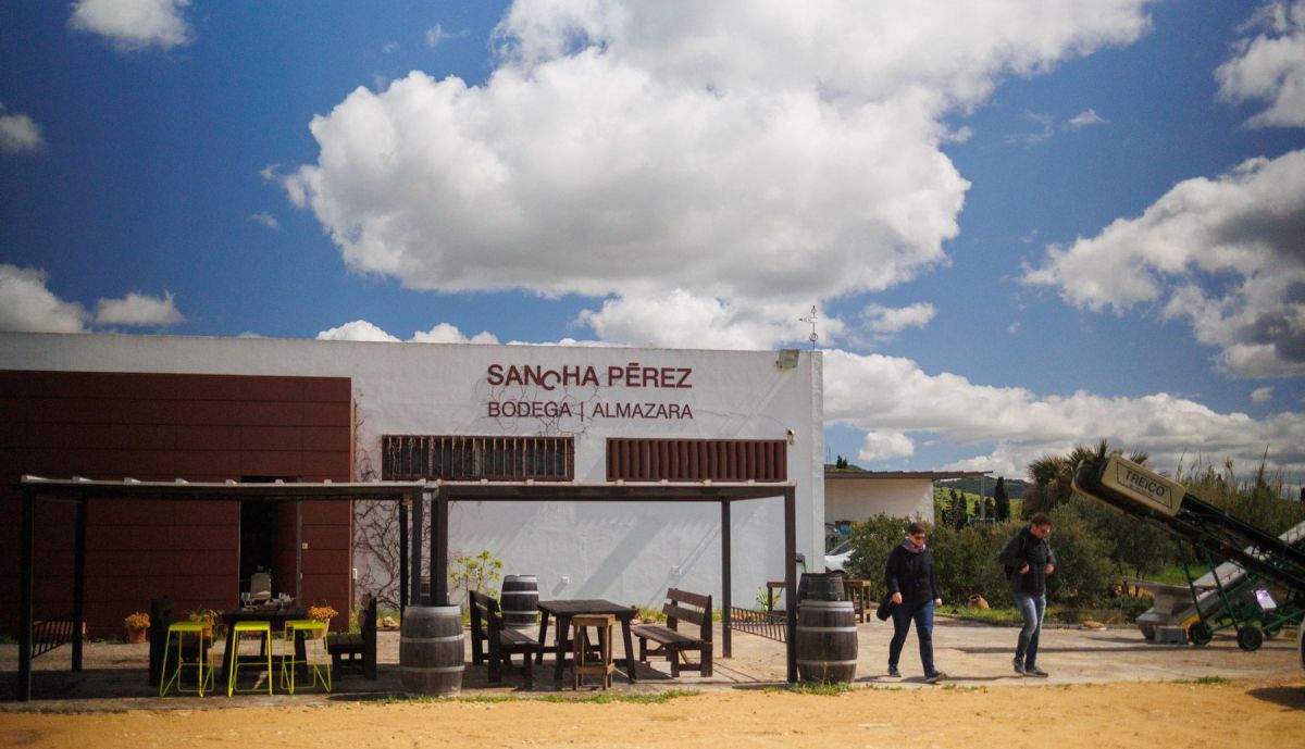 BODEGA SANCHA PEREZ VIÑA ECOLOGICA 24