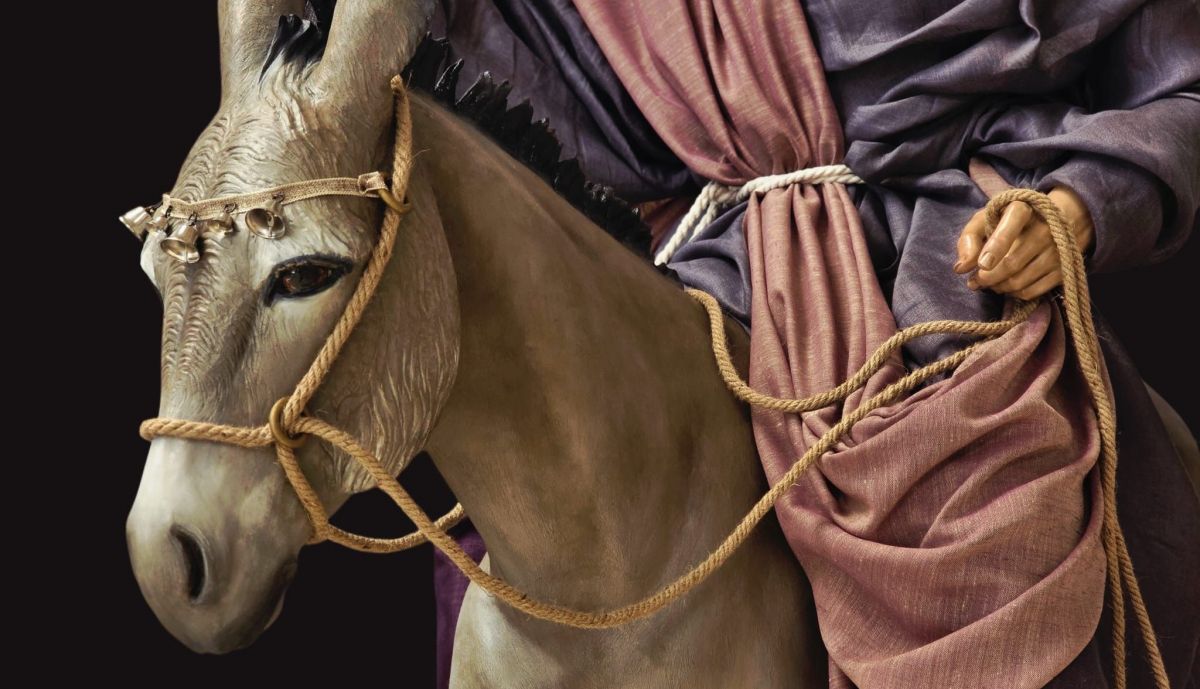 Detalle del asno de la imagen de la Sagrada Entrada de Jesús en Jerusalén.