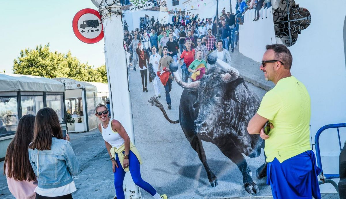 vejer toro embolao
