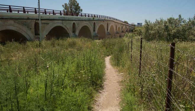 El puente de Cartuja en una fotografía reciente.    FOTO: MANU GARCÍA