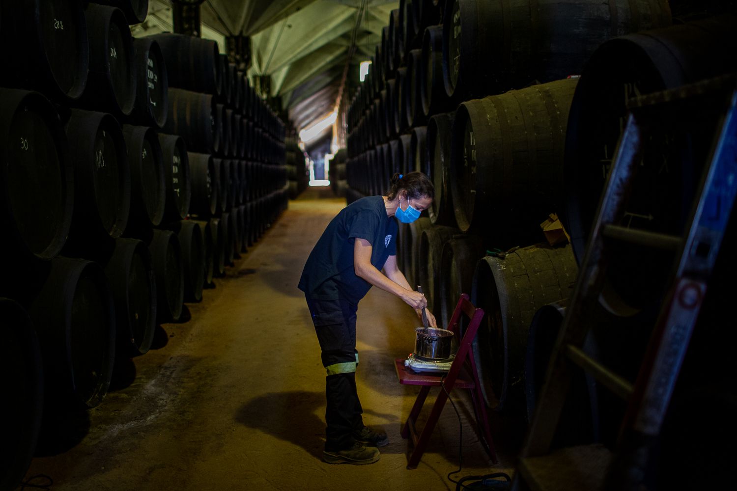 Interior de Bodegas Williams & Humbert, en una imagen reciente.