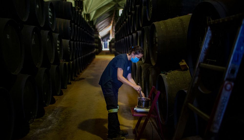 Interior de Bodegas Williams & Humbert, en una imagen reciente.